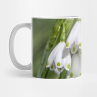 Snowdrops Mug